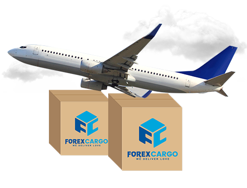 Forex Cargo Tracking Online Track Trace - 